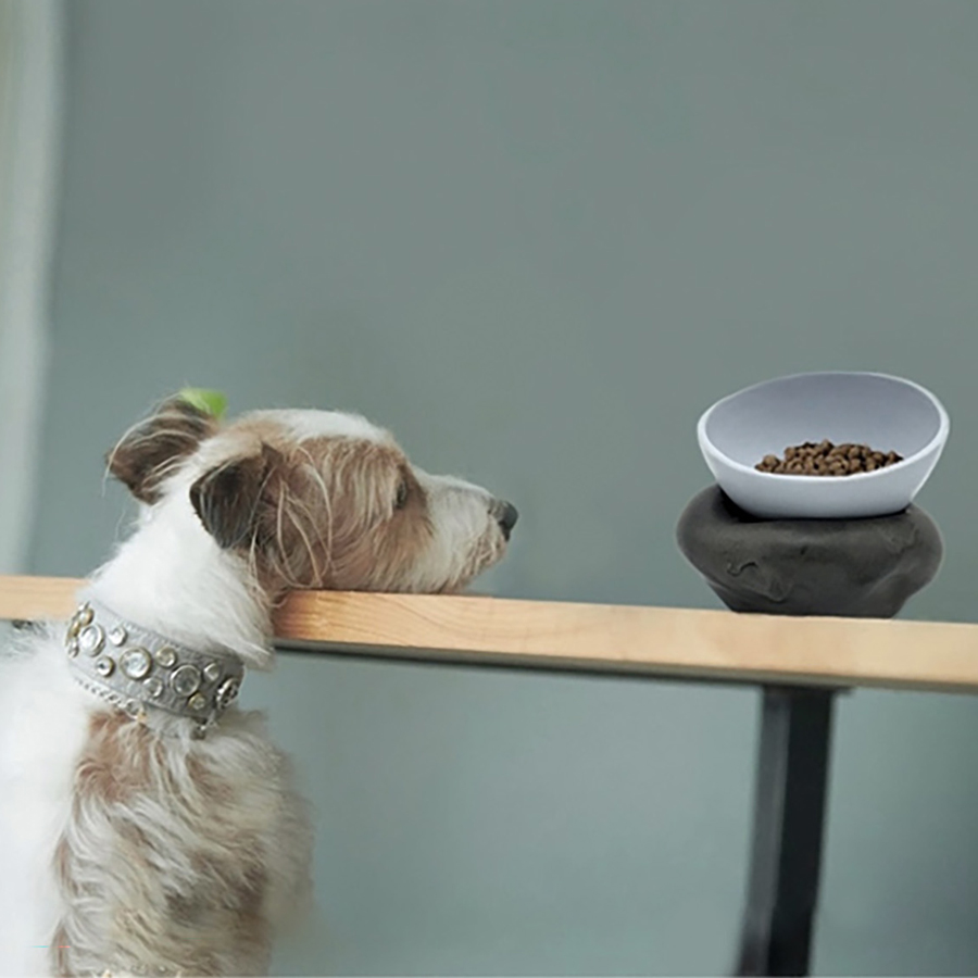 犬と陶器の画像